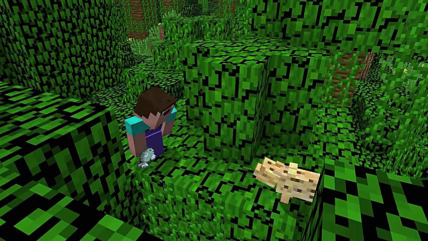 Minecraft NOOB vs PRO: Jungle...
