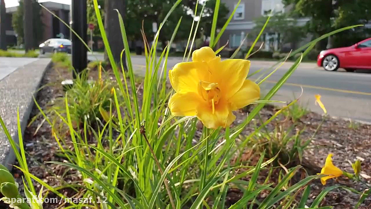 دوربین گوشی نوت 9 Note 9 4K 60...