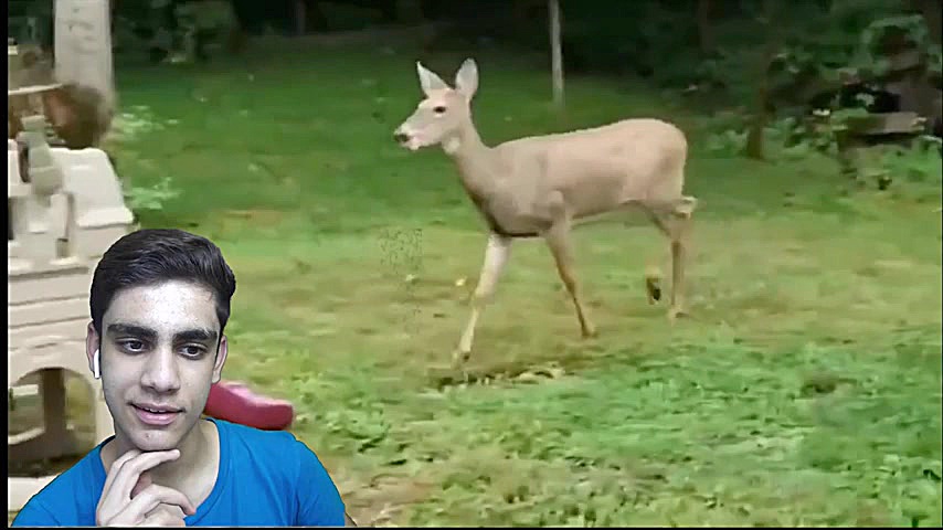 try not to lought | چالش سعی ک...