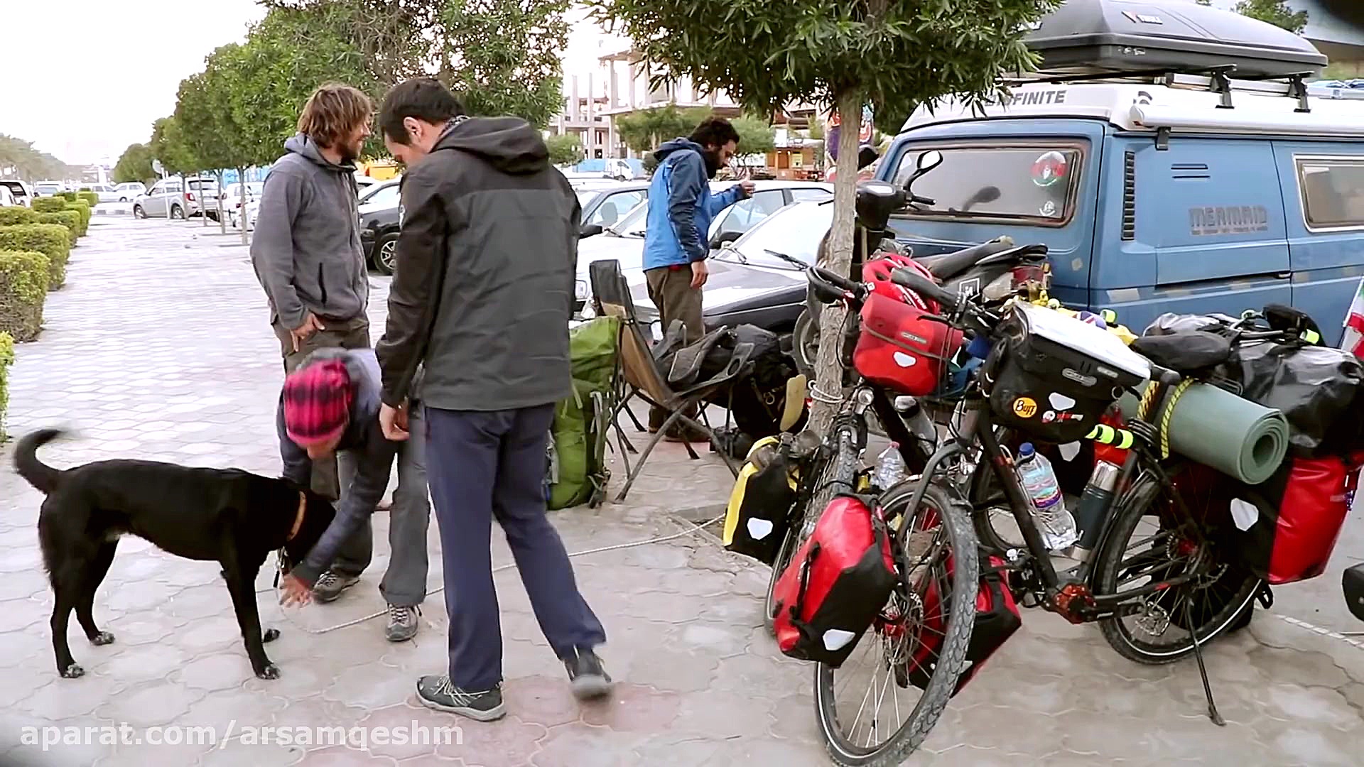 دیدن حیات وحش و طبیعت بکر قشم...