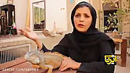 ملکه مارها در یزد