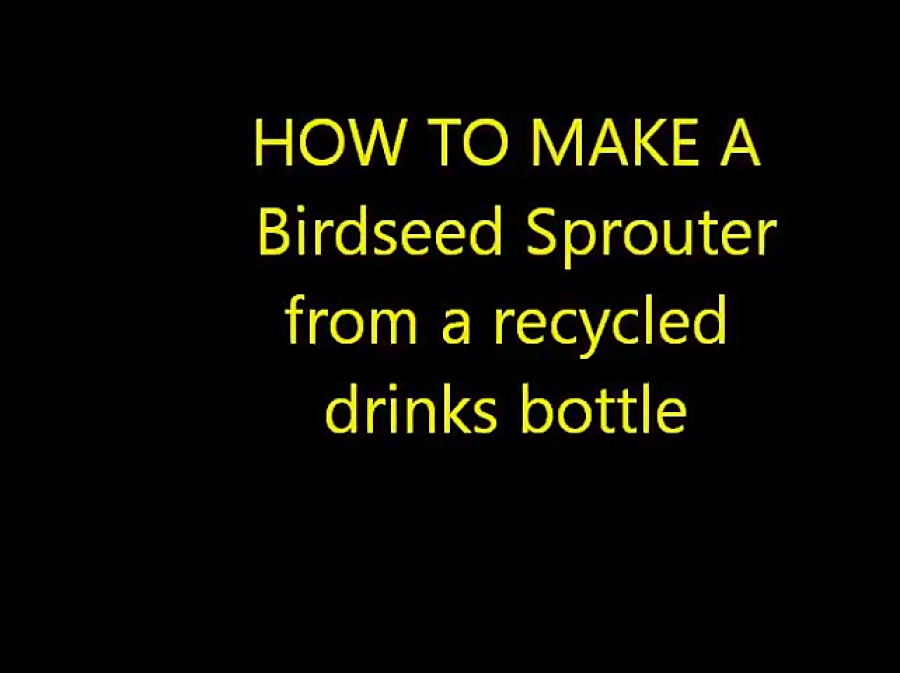How to sprout bird seed for canaries and finches