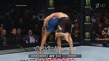 مبارزه حبیب نور ماگ مادف