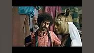 Pishuni sefid 5th song ترانه پ...