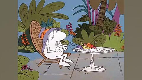 U veb-kamerani soradi