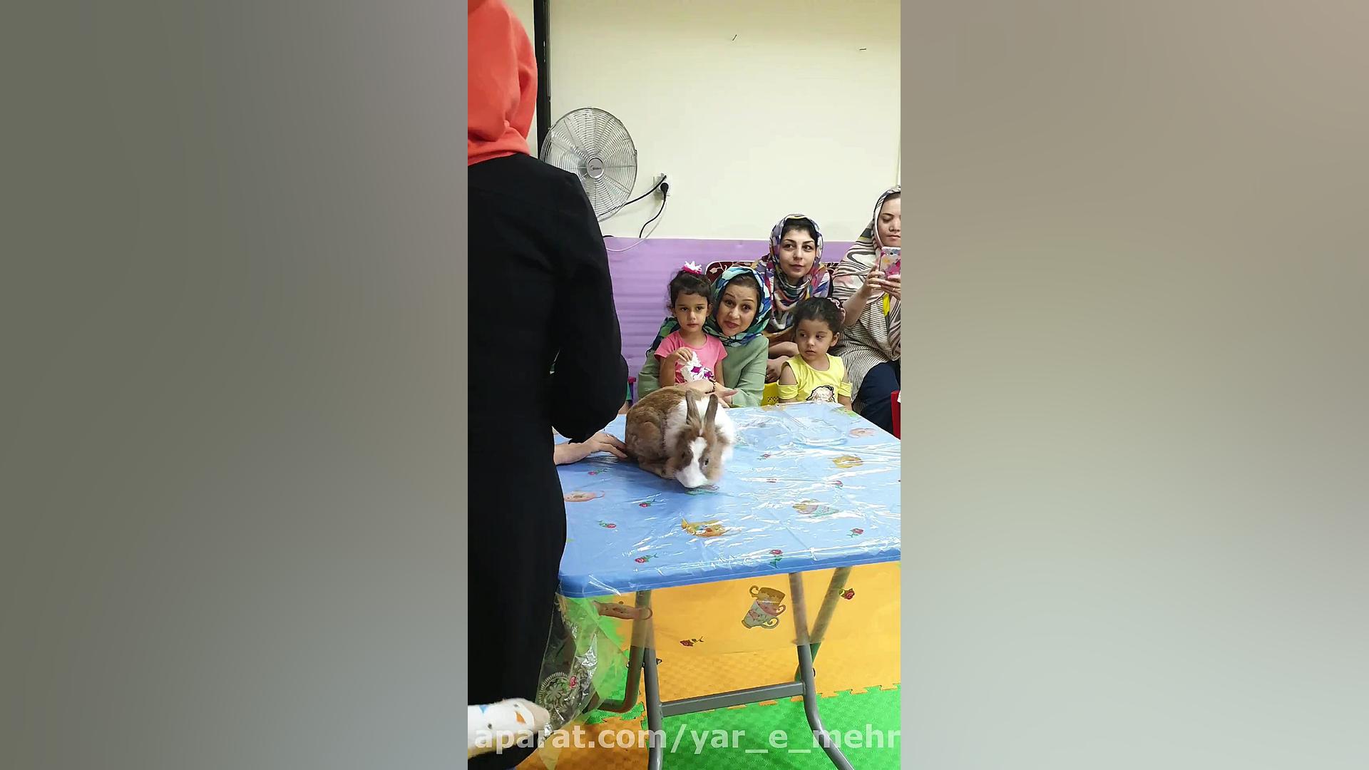 کارگاه لمس حیوانات خانه بازی ی...