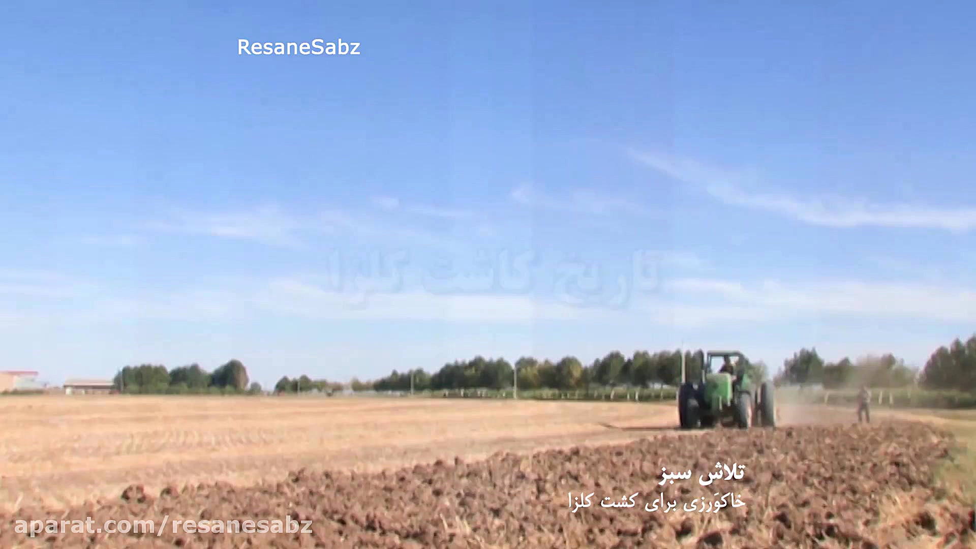 کلزا (آبیاری، تغذیه و مبارزه ب...