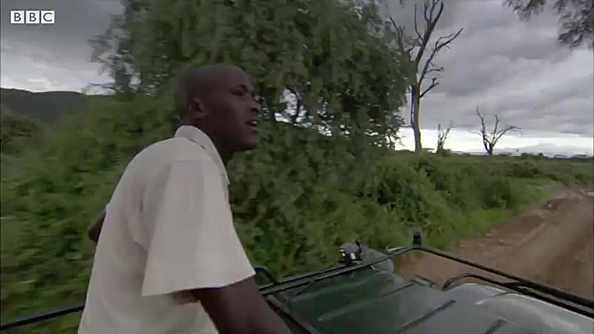 مبارزه حیوانات در مقابل طبیعت...