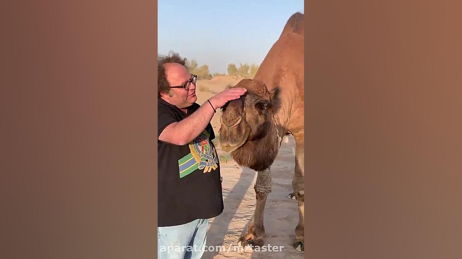 همیشه بخشیدم ولی این بار نمی ب...