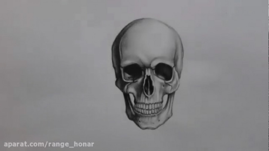 آموزش طراحی از جمجمه