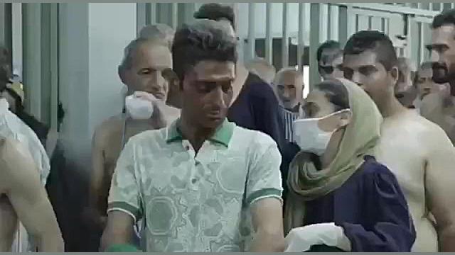 نوید محمدزاده و پیمان معادی در...