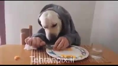 کلیپ باور نکردنی غذاخوردن این...