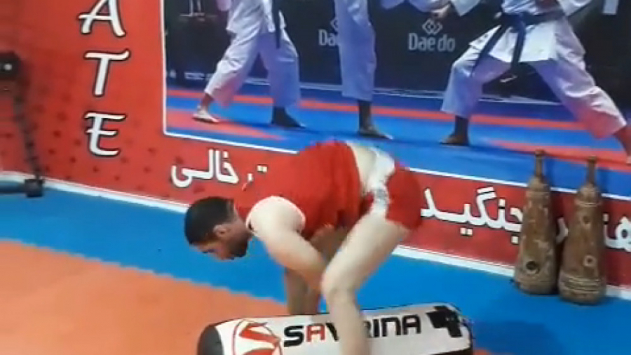 آموزش mma توسط استاد علی بیرام