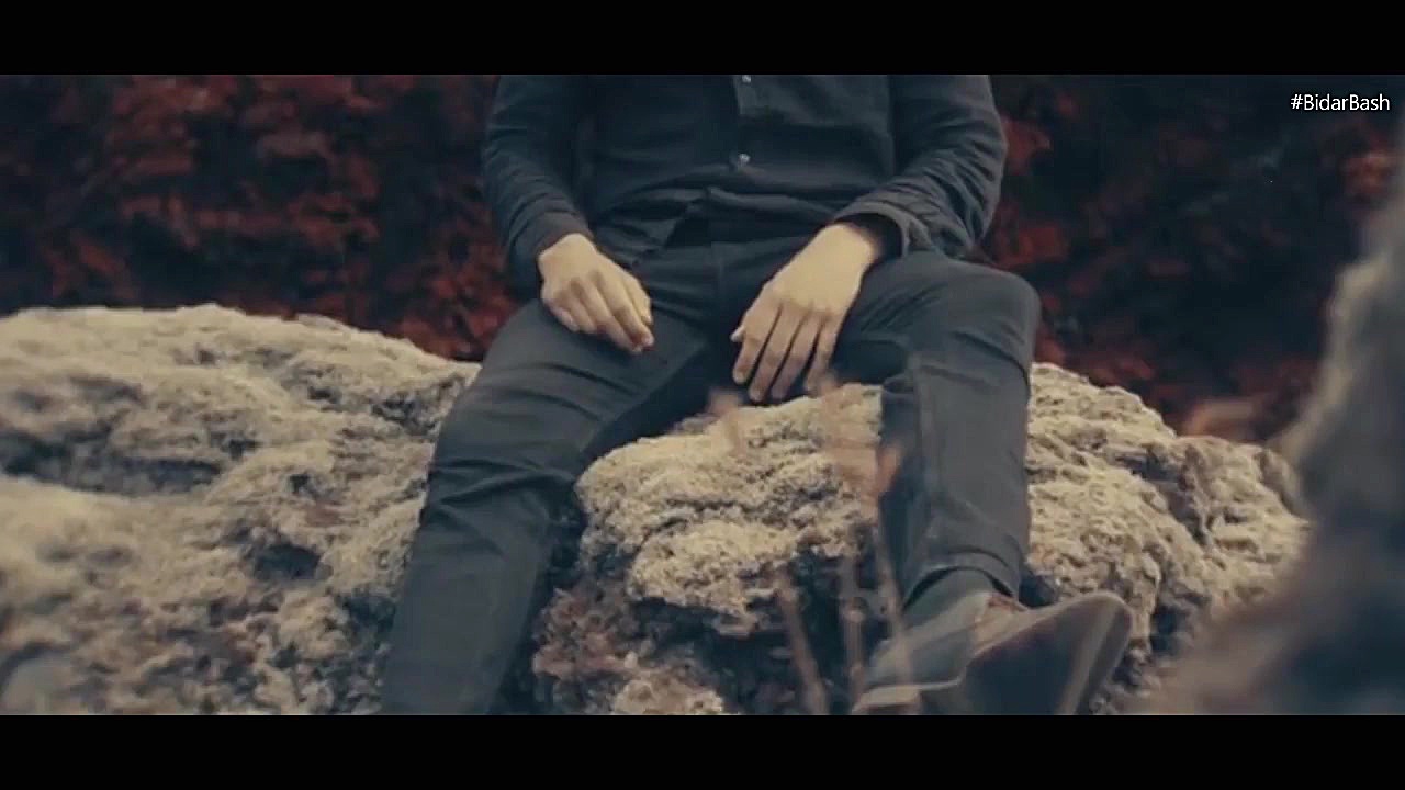 گوگل  سید حسن آقامیری