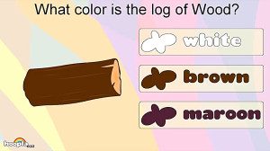 Learn About Colors