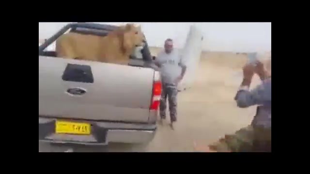 شکار عجیب ارتش عراق در نبرد با...