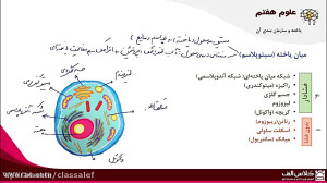 آموزش مفهومی علوم هفتم، فصل یا...