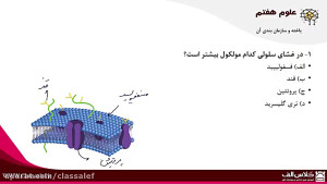 آموزش علوم هفتم، حل تست فصل یا...