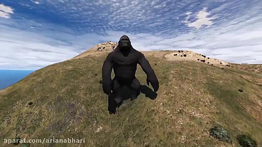 دعوای کینگ کونگ با ترنسفورمرز