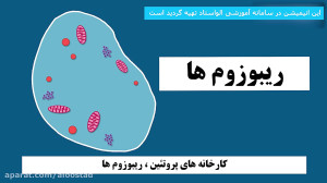 علوم هفتم فصل 11 سلول و سازمان...