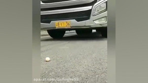 چالش تخم مرغ