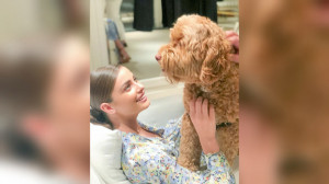 ذره بین 9 سگ فحش نیست!