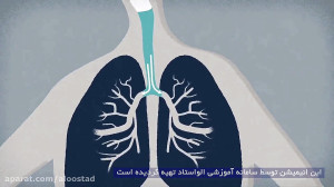 فیلم آموزشی علوم هفتم