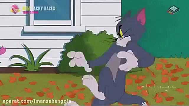 جدید ترین سری کارتون تام و جری