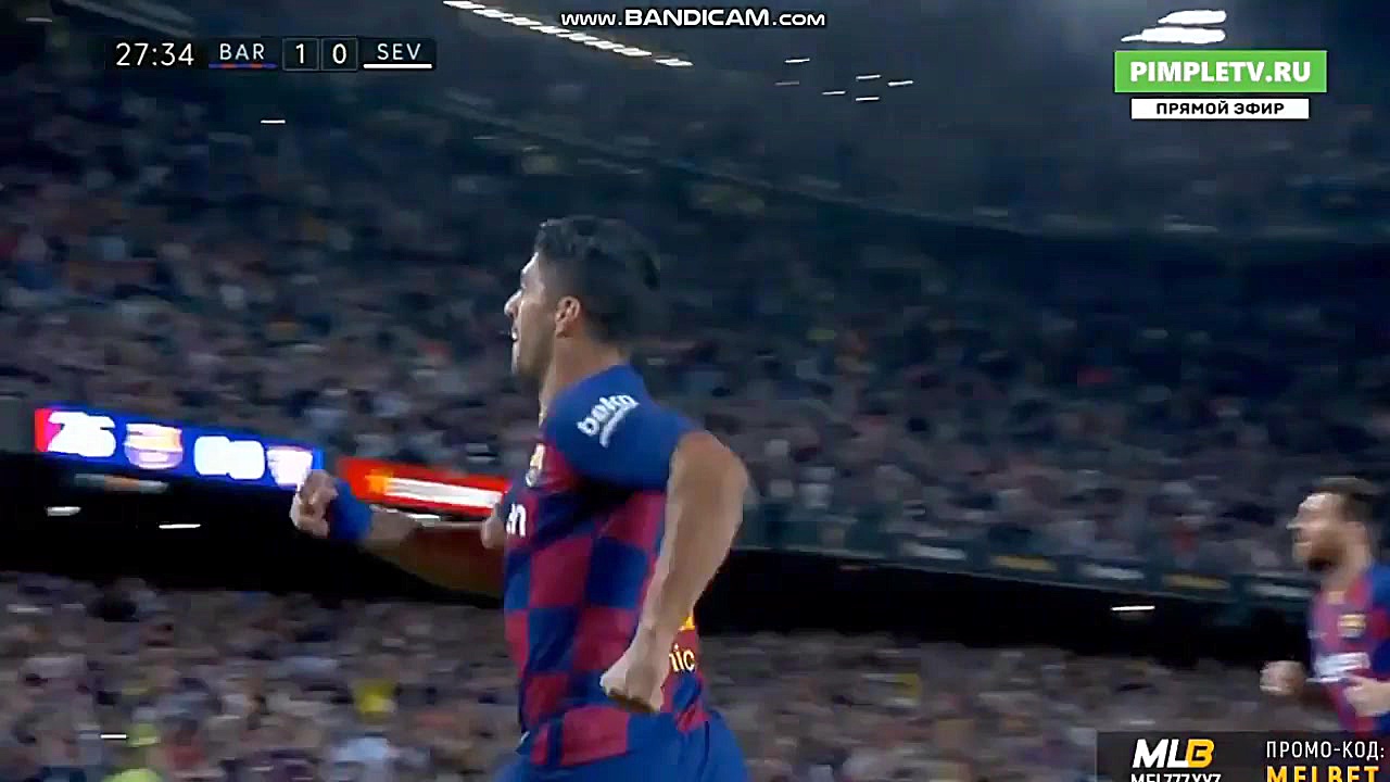 گل قیچی برگردان زیبای سوارز به...