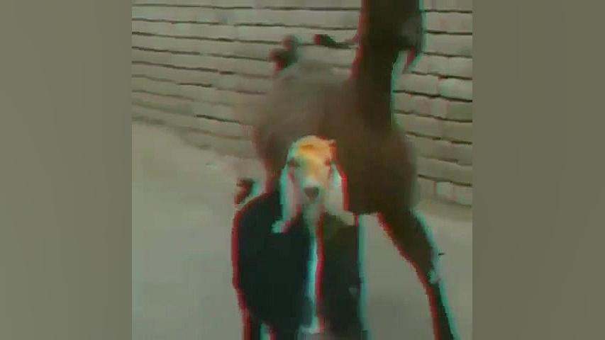 نماوا و فیلیمو بعد از فیلترشدن...