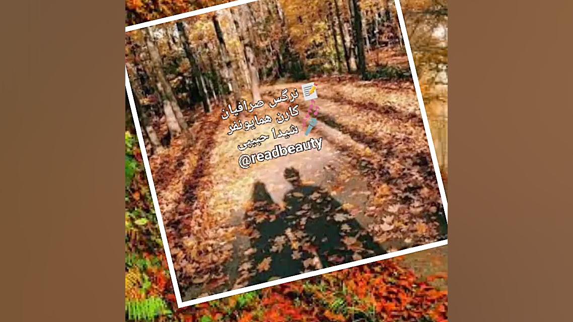 آدم یا باید عاشق باشد،نرگس صرا...