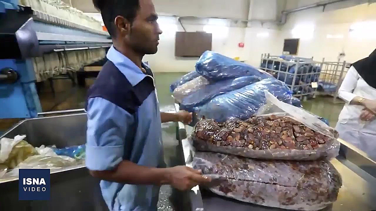 کارخانه خرما؛ تولید چندین محصو...
