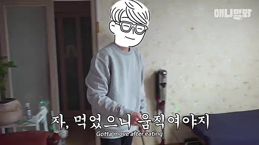 گربه خانگی چاق و خوشگل