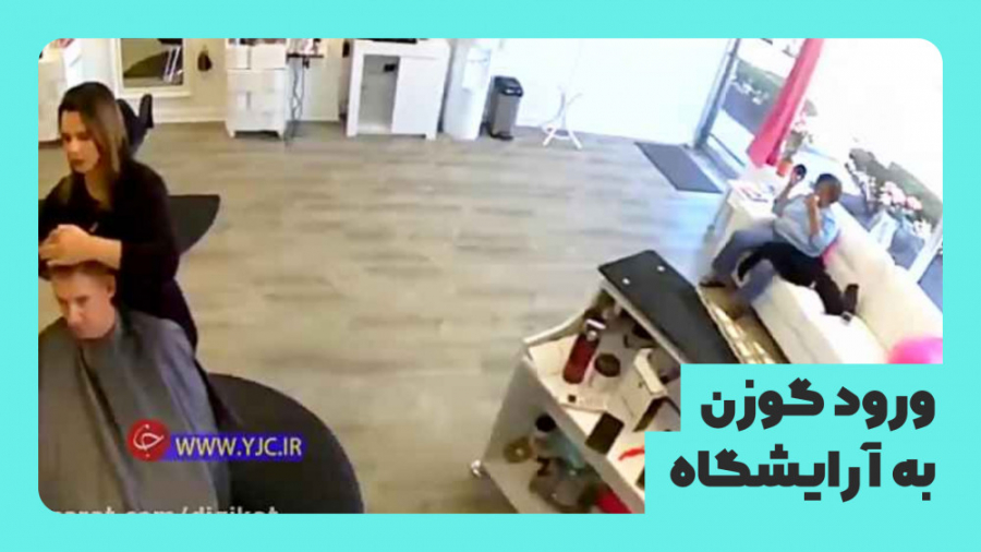 ورود گوزن به آرایشگاه