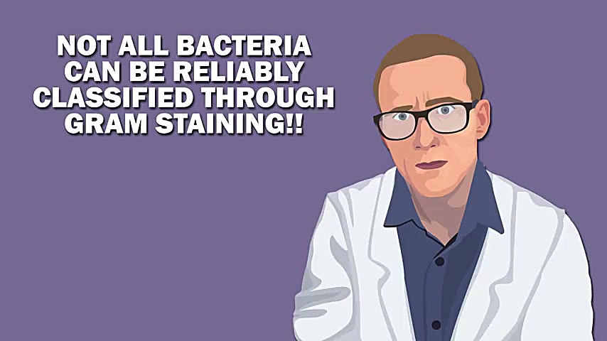 GRAM POSITIVE VS GRAM NEGATIVE...