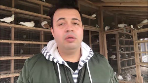 پر بستن کفتر با داش علی