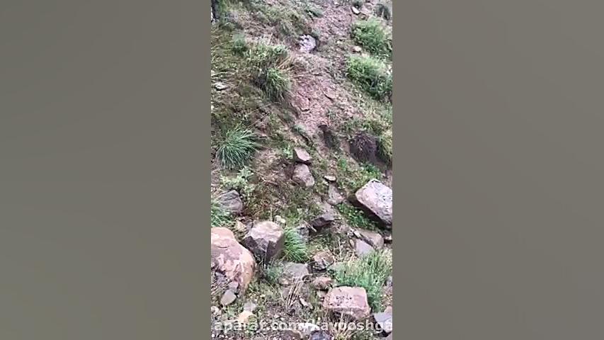 تست در هوای بارانی و کوهستان و...