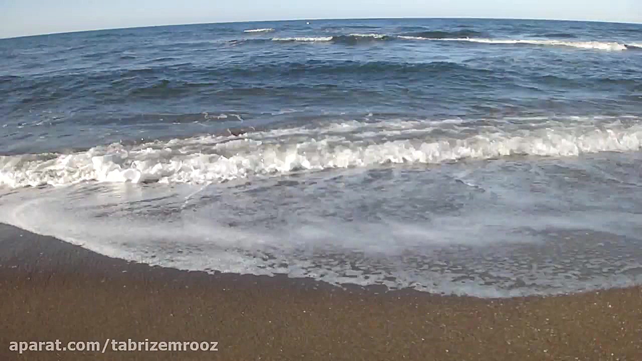 من بیر ناتوان اسیرم ! کارا دنی...