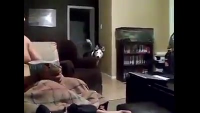 ترس سگ از عکس دختر :))))