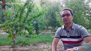 بهترین روش درست کردن خاک مخصوص...