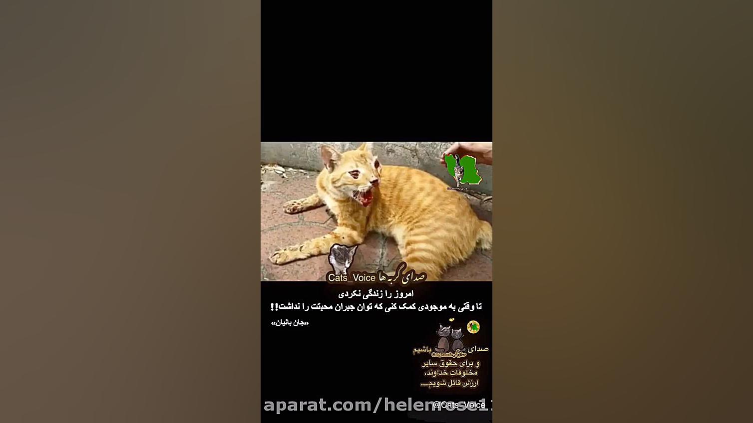 امروزرازندگی نکردی تاوقتی به م...