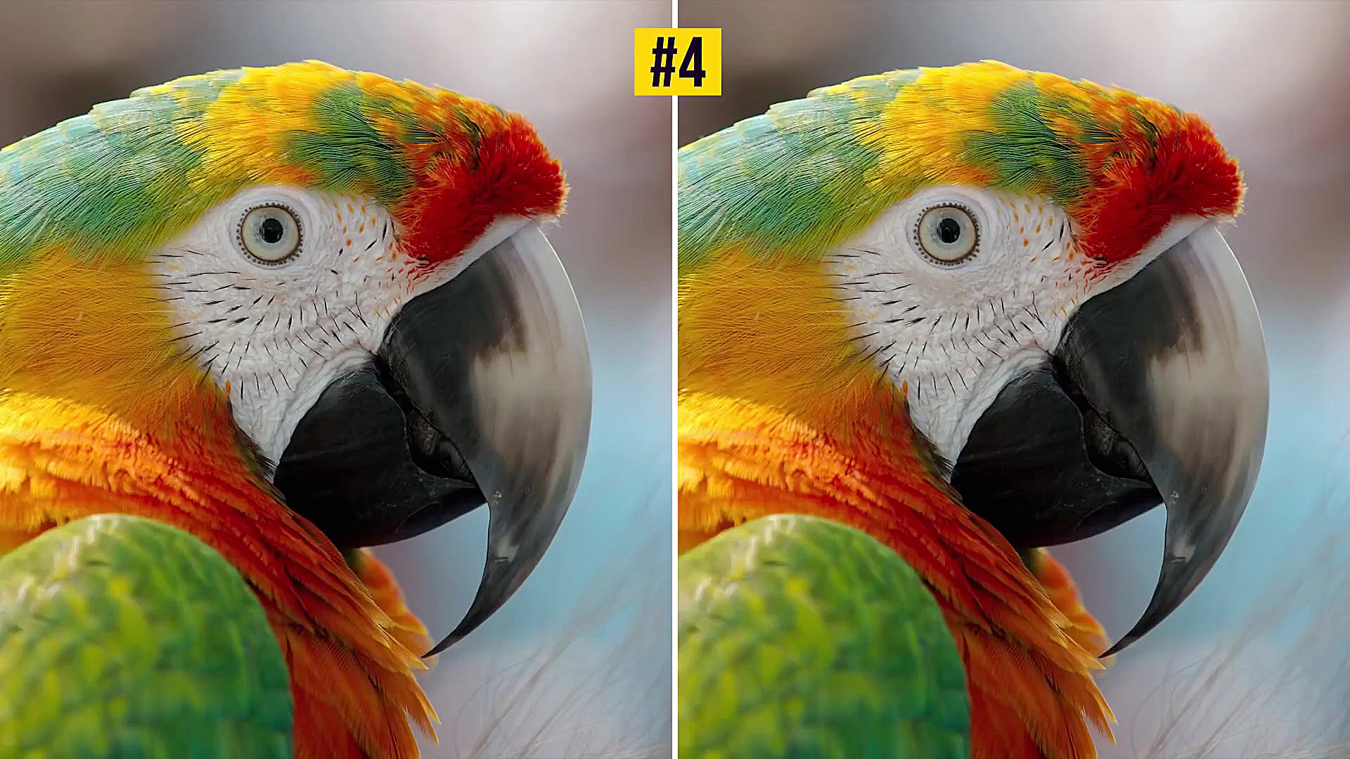 فقط 4 درصد از افراد می تونن تو...