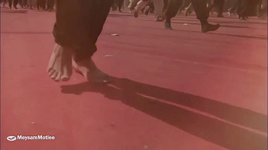 دوباره، دلم راهی اربعین مولاست...