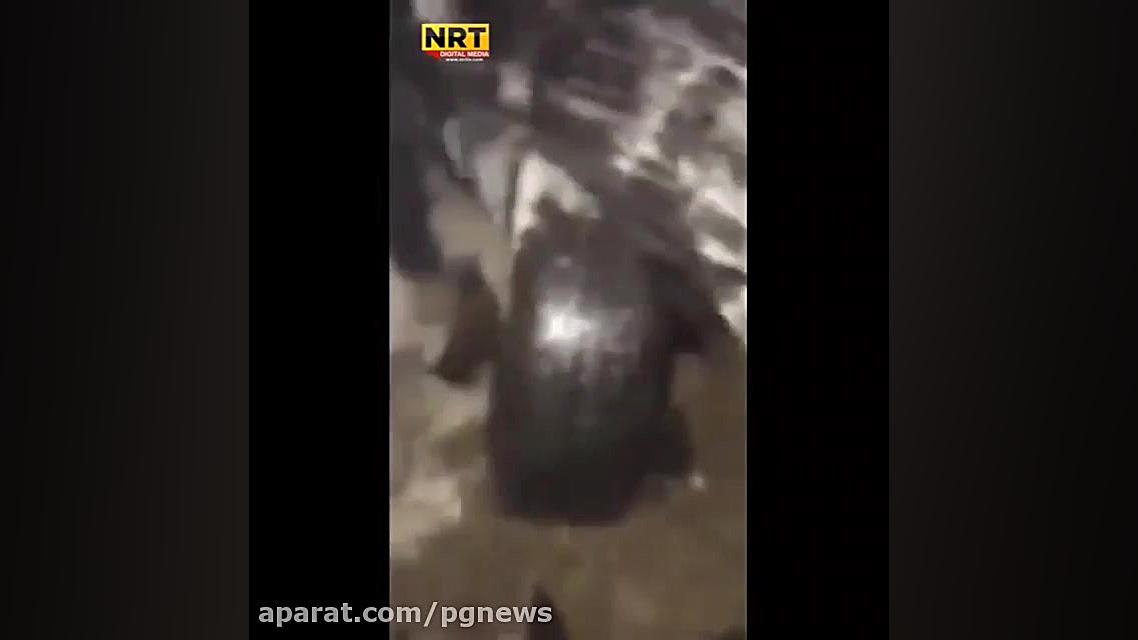 ترور مجری تلویزیون در کردستان...