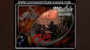 سید جواد ذاکر مداحی کمتر دیده...