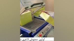 دمنوش لاغری دکتر بیز