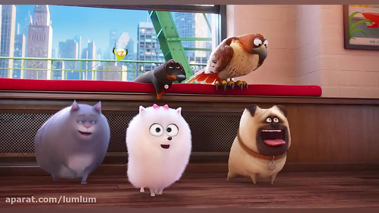 انیمیشن  زندگی مخفی حیوانات The Secret Life of Pets 2016دوبله فارسی زمان5187ثانیه