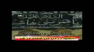 لیش تاخر عباس