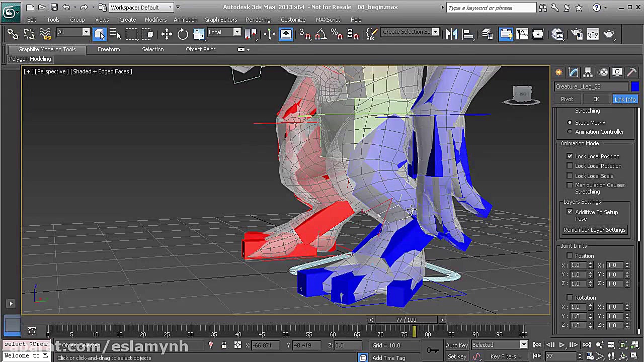 08 Digital Tutors Cat Intro