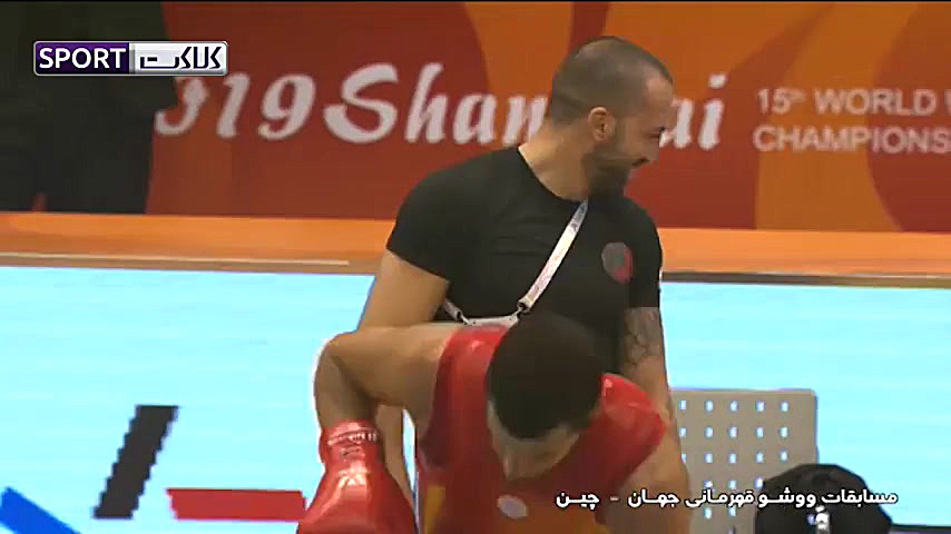 کسب مدال طلا محمدسیفی در ووشو...